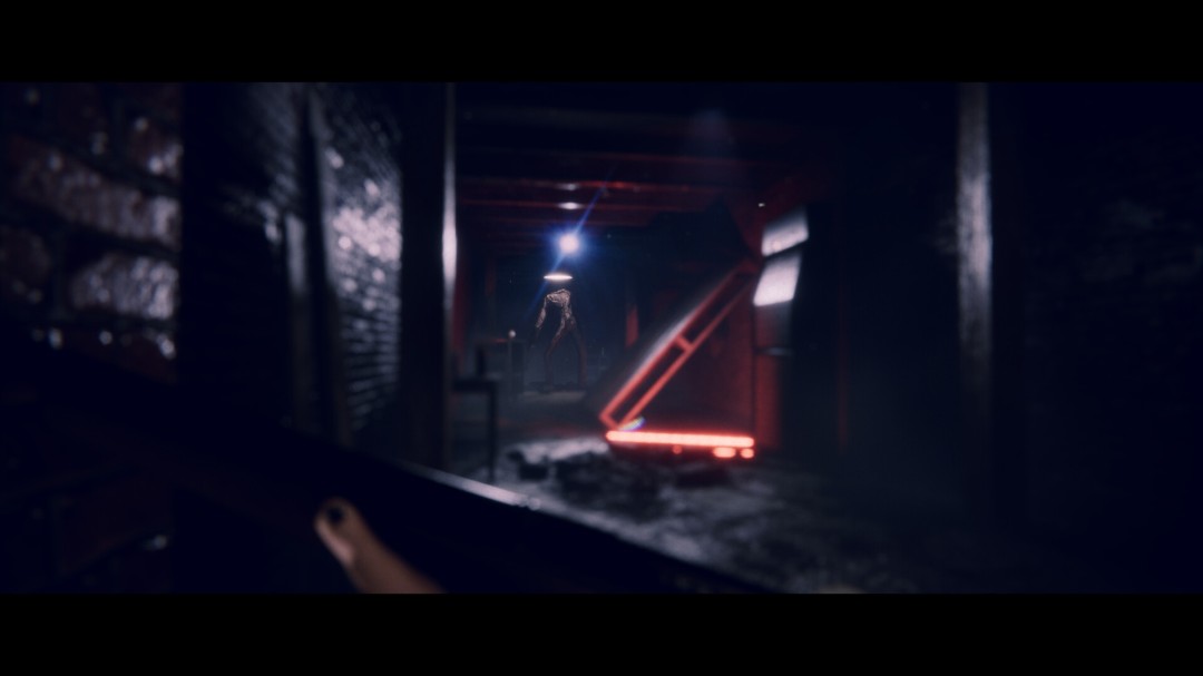 心理恐怖游戏《Project Songbird》3月26日发售(图5)