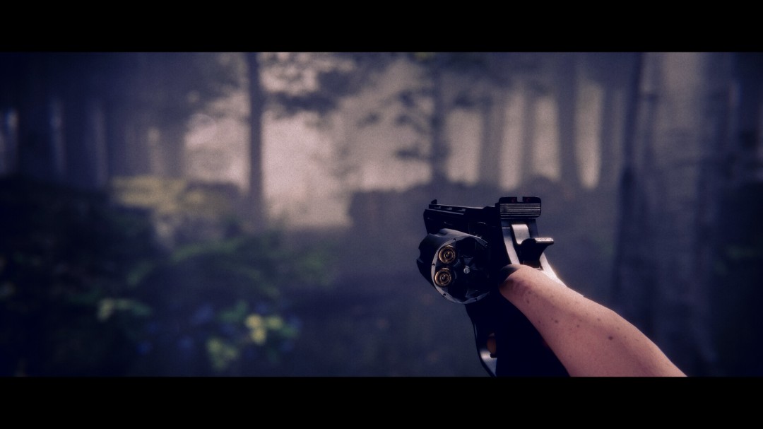 心理恐怖游戏《Project Songbird》3月26日发售(图12)