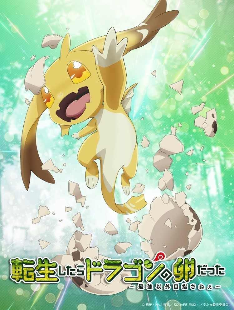 轻小说《转生之后的我变成了龙蛋》 宣布改编为电视动画(图1)