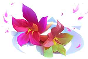 《LOL》设计师:11月19日将发布新英雄 一位彩色法师 - Tanyitan情报局