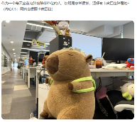 《星球:重启》半周年分红式发福利 真诚才是必杀技(图6) 《星球:重启》半周年分红式发福利 真诚才是必杀技(图6)