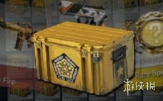 《CS:GO》荷兰Steam交易系统开启 箱子交易被限制(图2) 《CS:GO》荷兰Steam交易系统开启 箱子交易被限制(图2)