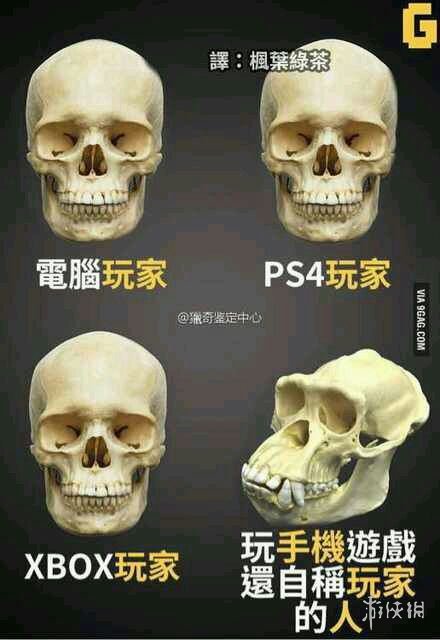 《亡者农药》是什么辣鸡！移动电竞真的那么不堪吗？(图2)