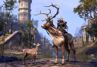 《上古卷轴OL》主创亲述离职真相：七年心血付诸东流！(图2)