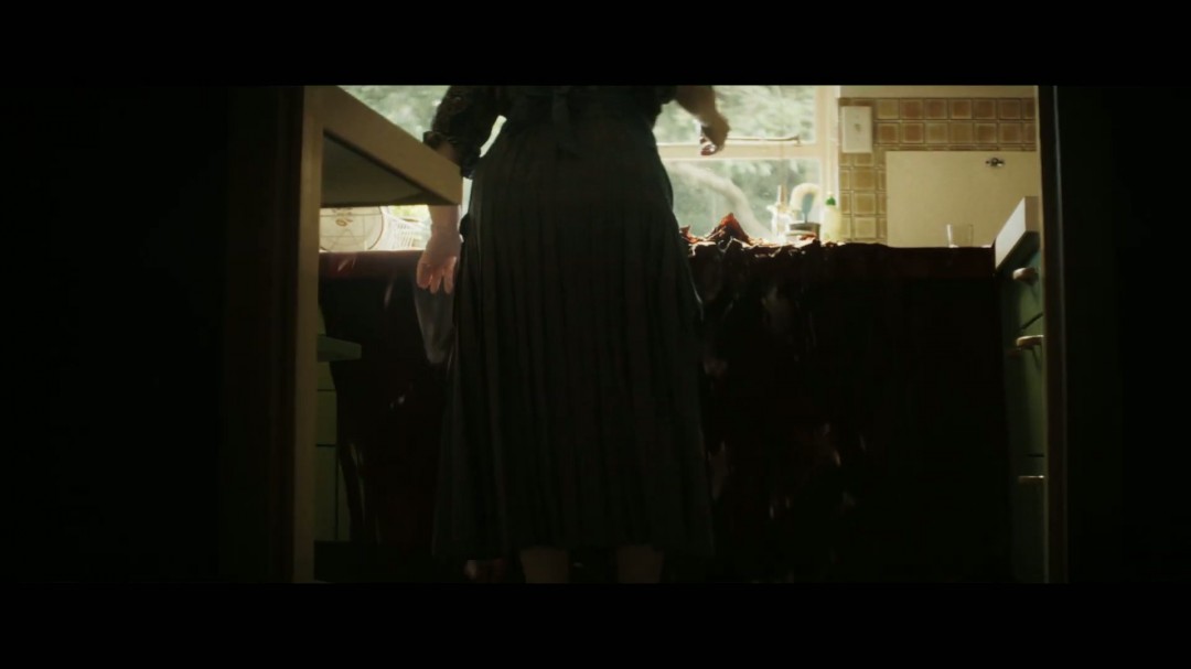 《招魂4》首曝预告 沃伦夫妇最后一次驱魔(图15)