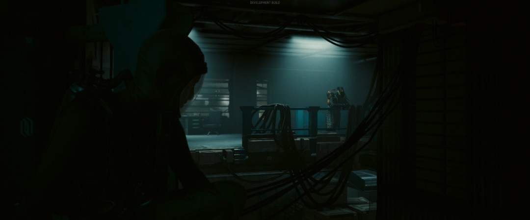 CDPR创意总监发布《往日之影》截图 暗示续作过场仍为第一人称(图2)