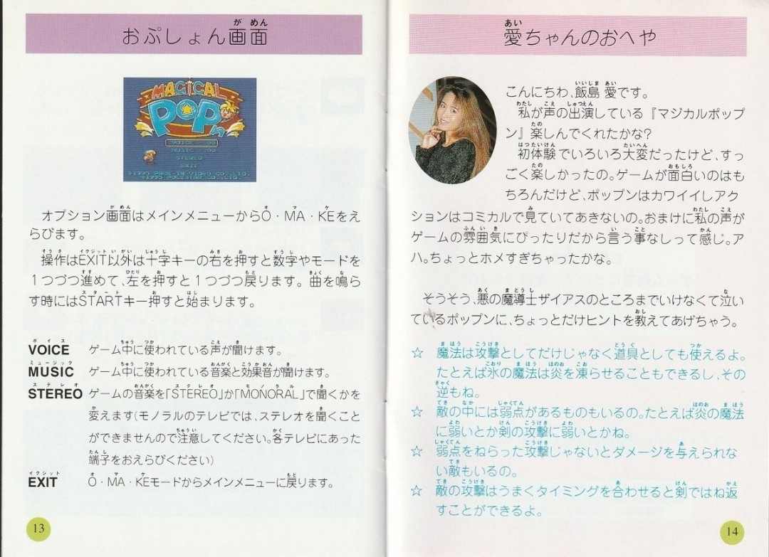 复古游戏说明书价格炒上天 仅因有饭岛爱照片与寄语(图3)