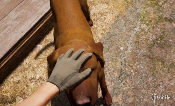 评价一星也不给你 《堡垒之夜》宠物功能引玩家吐槽(图1)