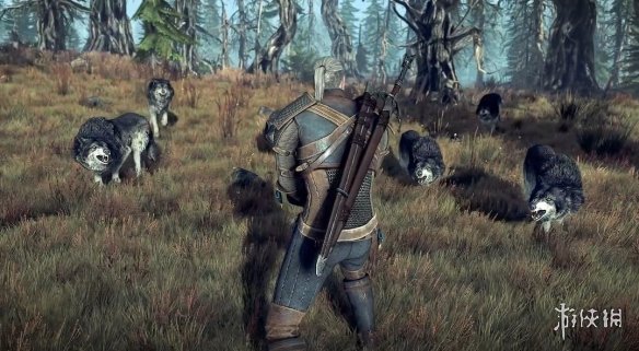 玩家还原《巫师3》首支预告光照效果 网友:这才是原版(图9)