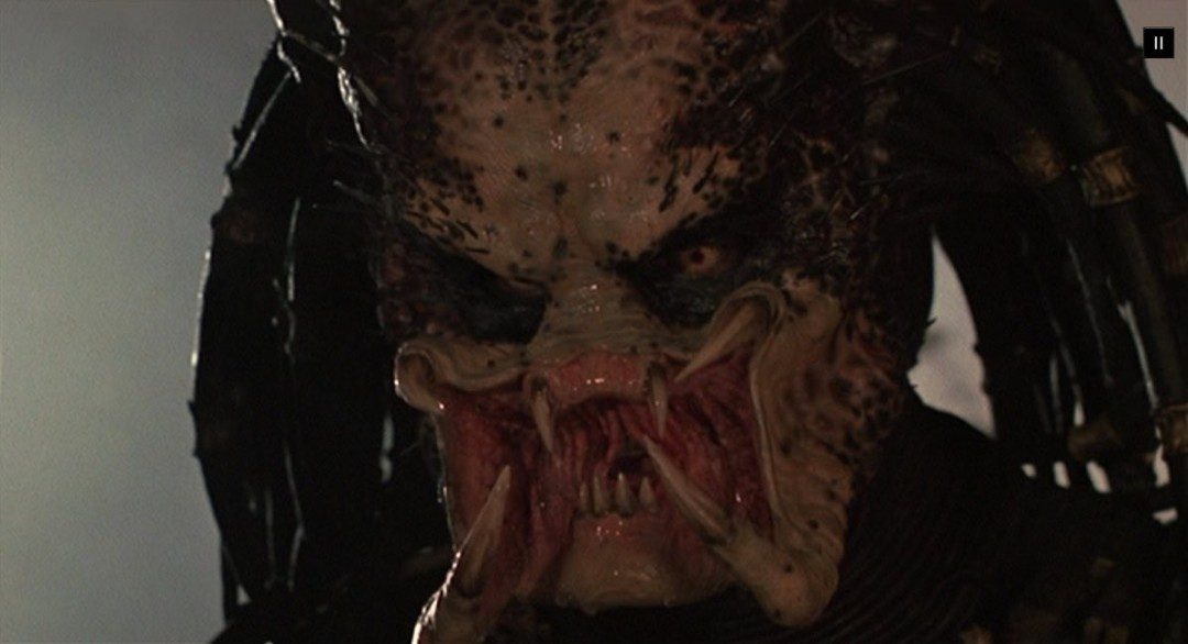 新《铁血战士》造型被吐槽太丑 疑似和《异形》联动(图8)