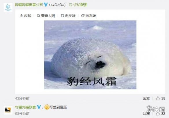 《守望先锋》杭州闪电队更名“海豹队”变身粉色海豹(图3)