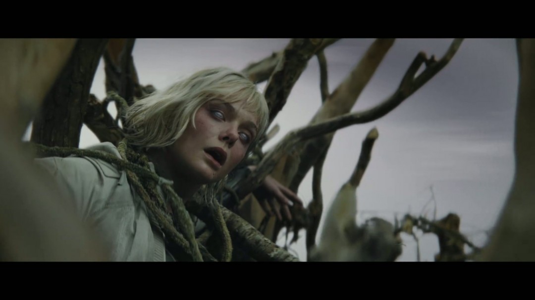 《铁血战士：杀戮之地》首曝预告 今年11月上映(图11)