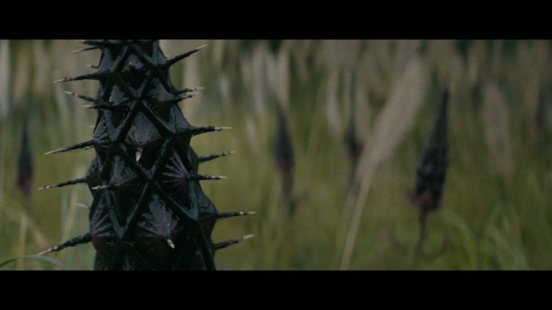 《铁血战士：杀戮之地》首曝预告 今年11月上映(图14)