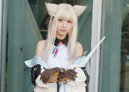 同人志大会CM 107闭幕 50周年之际迎来30万观众(图1)