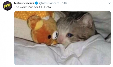 Ti9：《DOTA2》Lil发文庆祝VP淘汰 被PPD反怼毒瘤(图1)