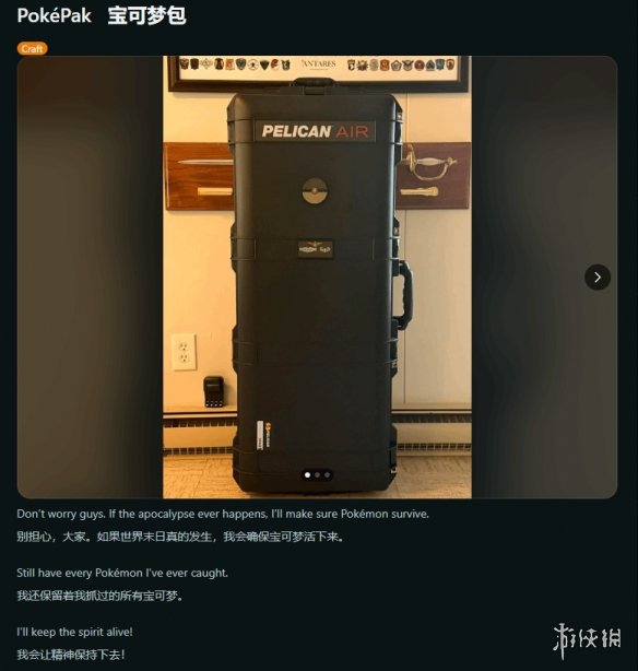 宝可梦玩家展示定制卡带收藏包 称末日来临也完好保存(图1)