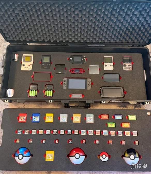 宝可梦玩家展示定制卡带收藏包 称末日来临也完好保存(图2)
