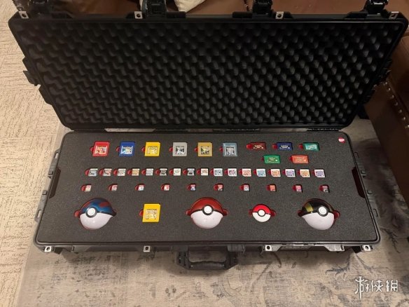 宝可梦玩家展示定制卡带收藏包 称末日来临也完好保存(图4)