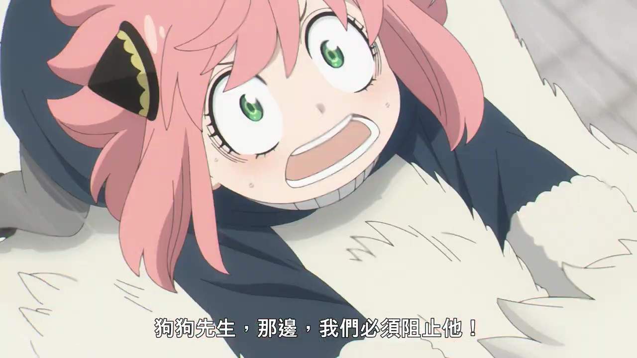 《间谍过家家》第二部分前导预告 10月正式开播(图7)