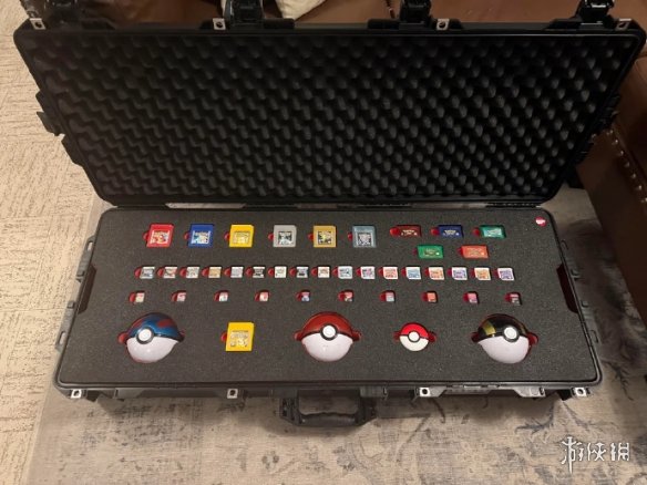 《宝可梦》死忠粉已为世界末日做好准备：留下火种！(图3)