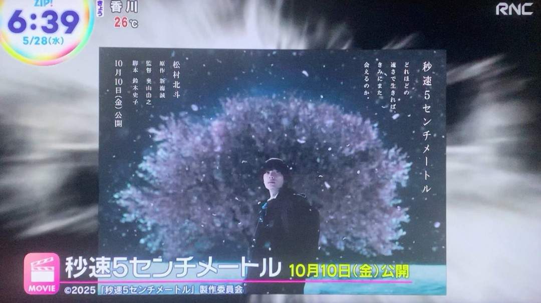 真人版《秒速五厘米》日本定档10月10日上映(图5)