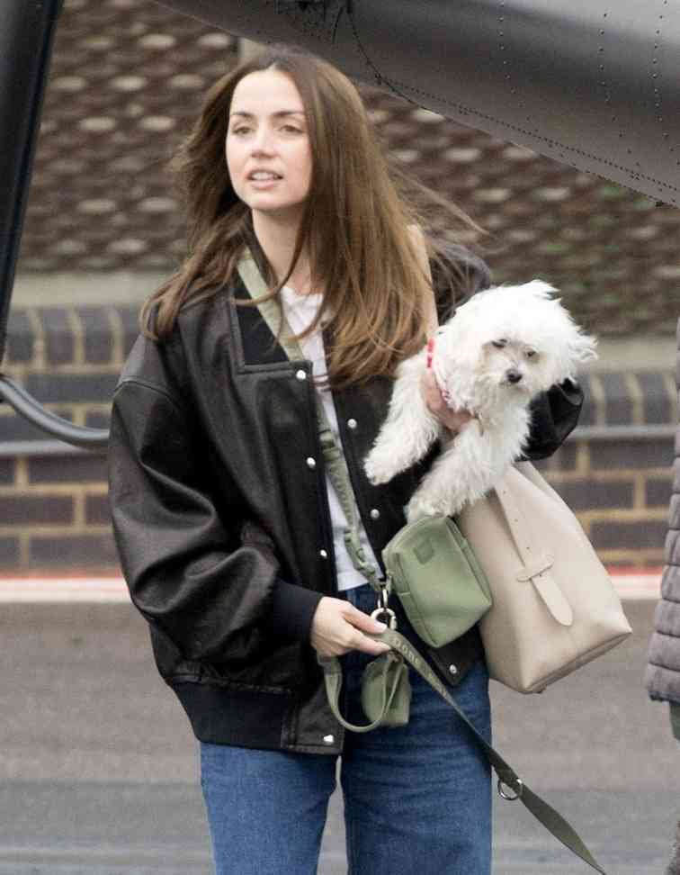 阿汤哥盛赞《疾速追杀：芭蕾杀姬》 媒体爆出“大瓜”(图7)