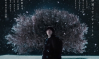 毁原作？真人版《秒速五厘米》新预告发布！ - Tanyitan情报局