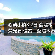 心动小镇8.2日 溜溜木 荧光石 位置—溜溜木不在路边 - Tanyitan情报局