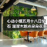 心动小镇五月十八日莹石 溜溜木地点朵朵花束！(图3)