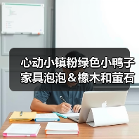 心动小镇粉绿色小鸭子家具泡泡＆橡木和萤石点位(图3)