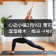 心动小镇2月9日 萤石﹣溜溜橡木﹣雨朵-4号灯笼泡泡(图4)
