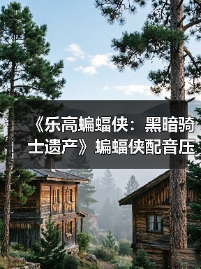 《乐高蝙蝠侠：黑暗骑士遗产》蝙蝠侠配音压力很大(图1)