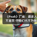 《Peak》厂商：很多人不喜欢 但我们也不为角逐大奖(图2)