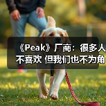 《Peak》厂商：很多人不喜欢 但我们也