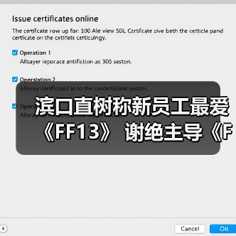 滨口直树称新员工最爱《FF13》 谢绝主