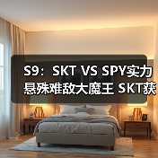 S9：SKT VS SPY实力悬殊难敌大魔王 SKT获胜晋级 - Tanyitan情报局