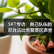SKT专访：自己队伍的获胜远比恢复赛区声誉重要！ - Tanyitan情报局