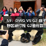 S9：DWG VS G2 瞎子野区被打残 G2最终赢得胜利 - Tanyitan情报局