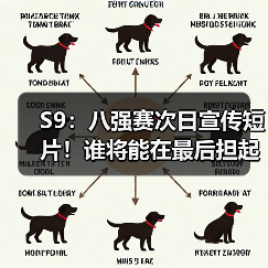 S9：八强赛次日宣传短片！谁将能在最后担起重任？(图3)