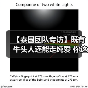【泰国团队专访】既有牛头人还能走纯爱 你这个战棋游戏正不正经？(图1)