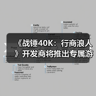 《战锤40K：行商浪人》开发商将推出专属游戏启动器(图2)