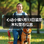 心动小镇5月13日溜溜木和萤石位置(图2)