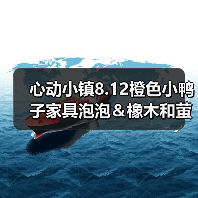 心动小镇8.12橙色小鸭子家具泡泡＆橡木和萤石点位(图2)