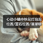 心动小镇中秋花灯泡泡位置/萤石位置/溜溜橡木位置❗️(图3)