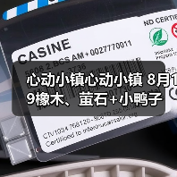 心动小镇心动小镇 8月19橡木、萤石+小鸭子(图4)