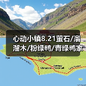 心动小镇8.21萤石/溜溜木/粉绿鸭/青绿鸭家具位置(图2)