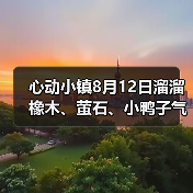 心动小镇8月12日溜溜橡木、萤石、小鸭子气泡等位置(图2)
