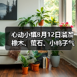 心动小镇8月12日溜溜橡木、萤石、小鸭子气泡等位置(图3)
