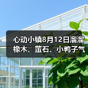 心动小镇8月12日溜溜橡木、萤石、小鸭子气泡等位置(图4)