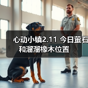 心动小镇2.11 今日萤石和溜溜橡木位置(图4)